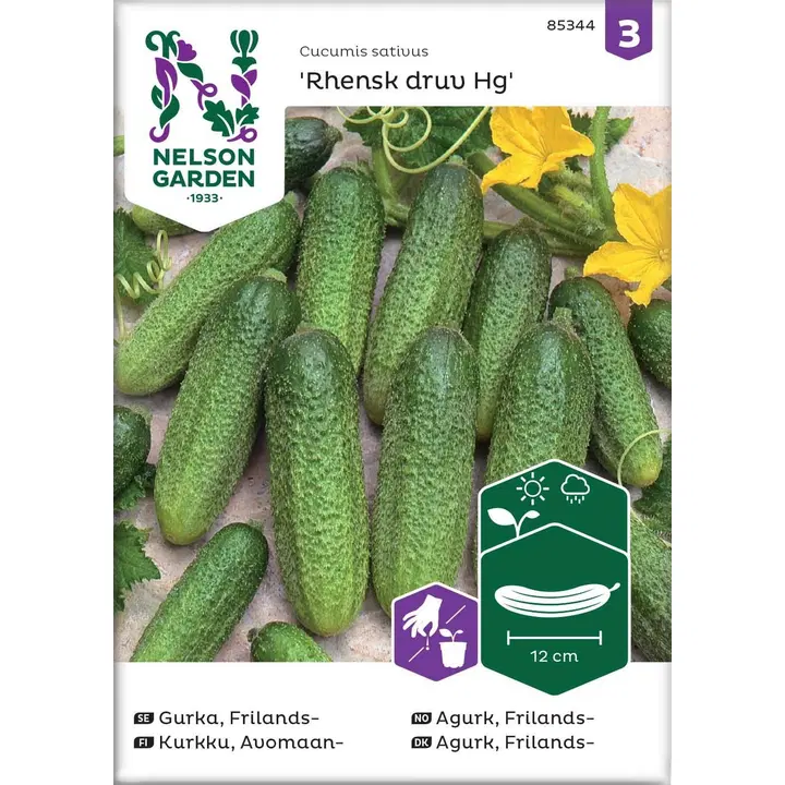 Nelson Garden Siemen Kurkku, Avomaan-, Rhensk druv Hg