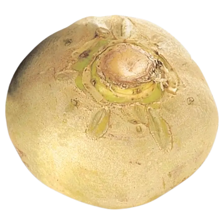 Kotimaista kaalikas 1kg