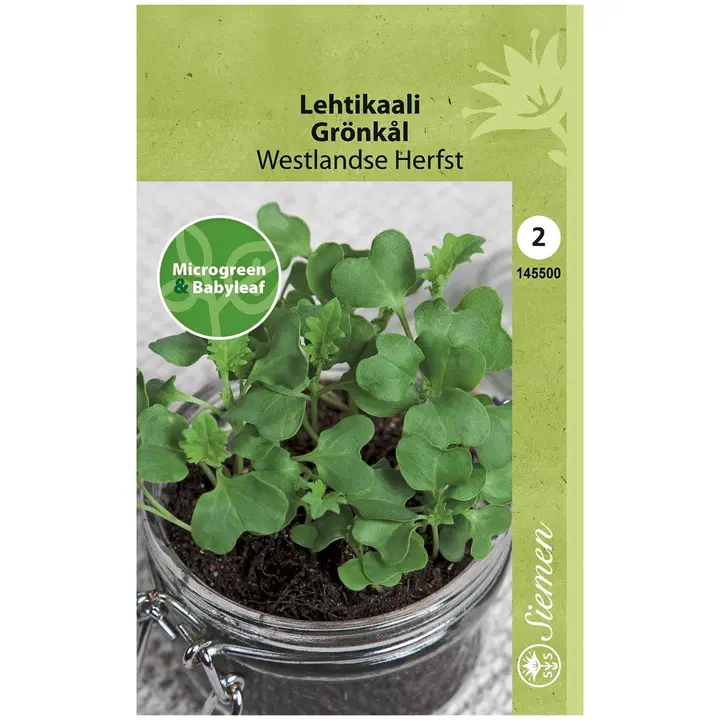 Siemen microgreen&babyleaf lehtikaali 'Westlandse Herfst'