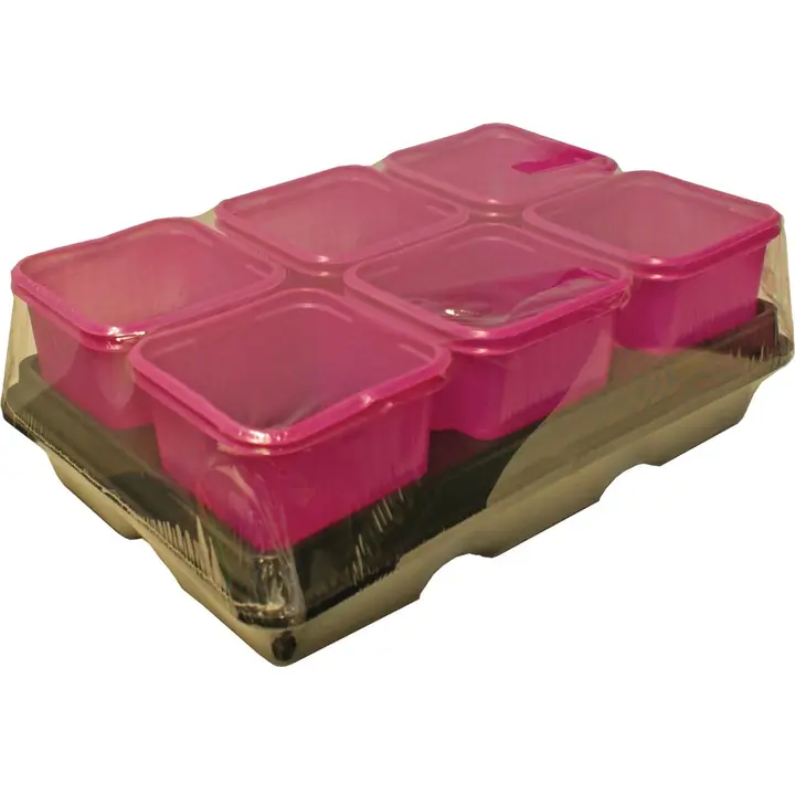 Istutuspott 8x8 cm 12 tk, roosa plast + 2 alust