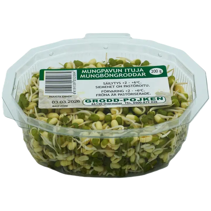 Fresh Mung-papu 200g FI