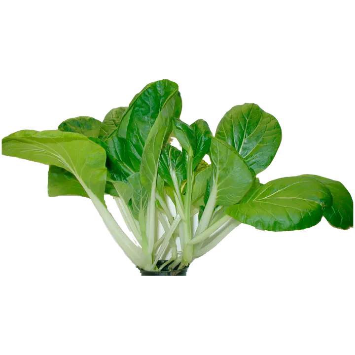 Lehtosen Puutarha paksoi 100 g