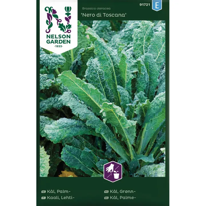 91721 kale nero di toscana