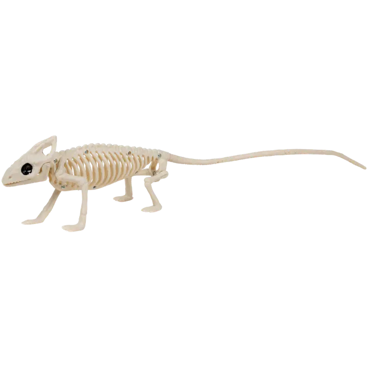 Halloweeni skelett hiir 38 cm