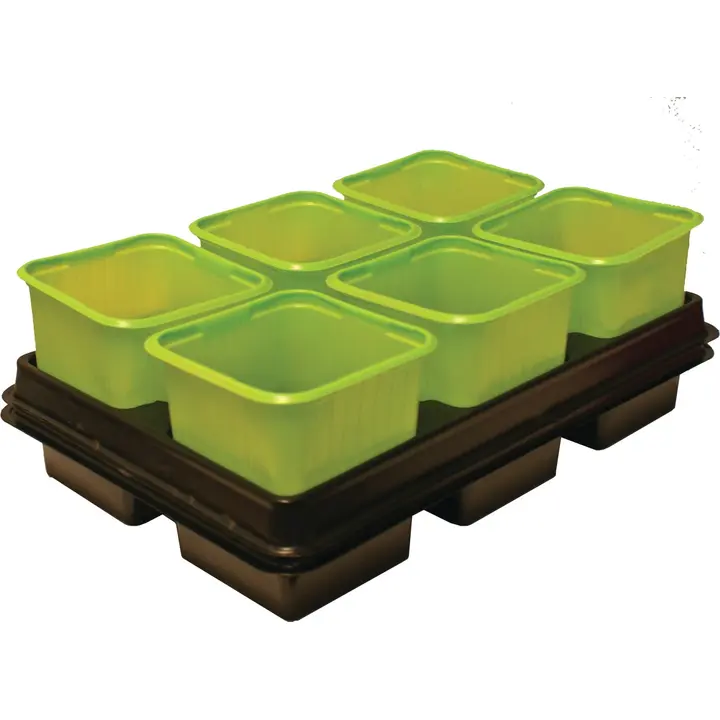 Istutuspott 8x8 cm 12 tk plast roheline +2 alust