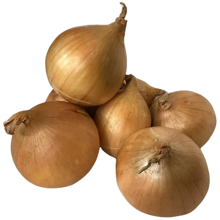 Taarin Tila sipuli irto