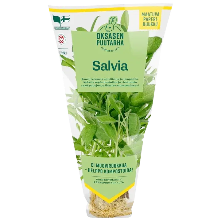 Salviaruukku Oksanen