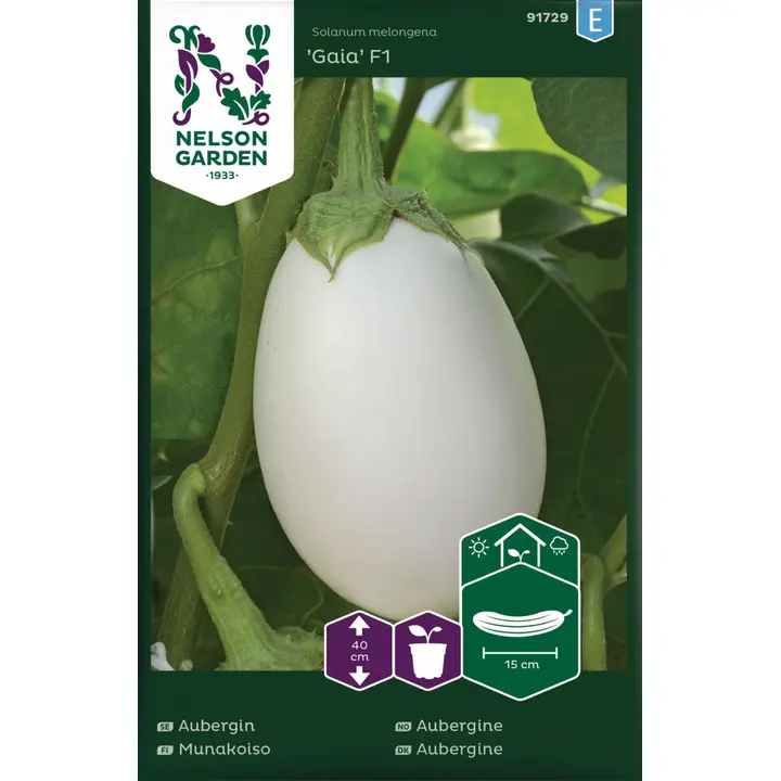 91729 baklažaan gaia f1