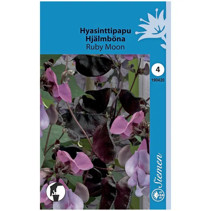 HYASINTTIPAPU RUBY MOON