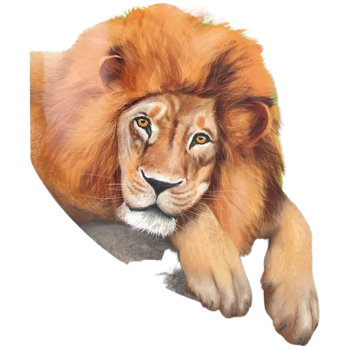 Create your Zoo Tarrakirja