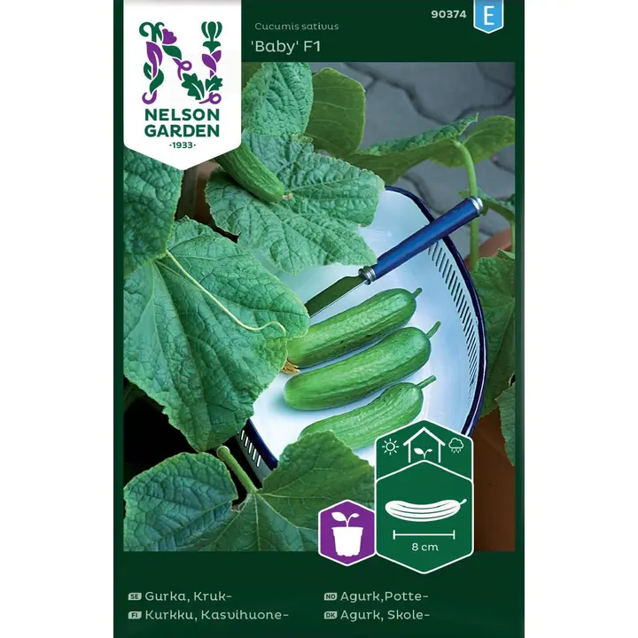90374 kurkkasvohoone baby f1