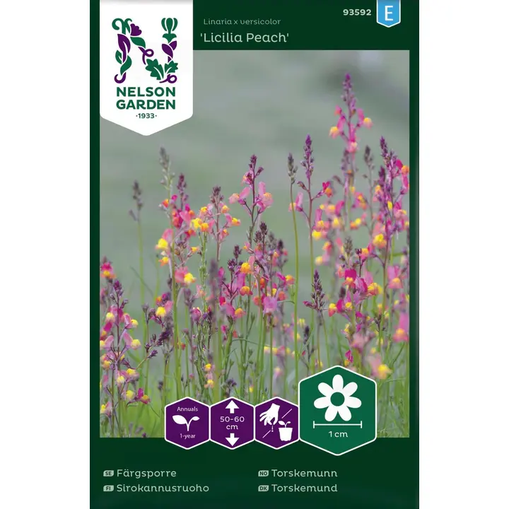 Nelson Garden Siemen Sirokannusruoho, Licilia peach