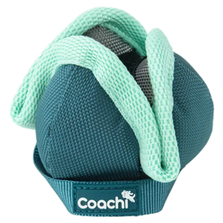 Coachi Puppy & Mini Chase & Treat Teal & Mint