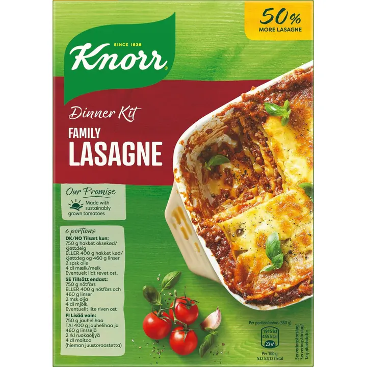 Knorr Family Lasagne ateria-aines 350 g 6 annosta