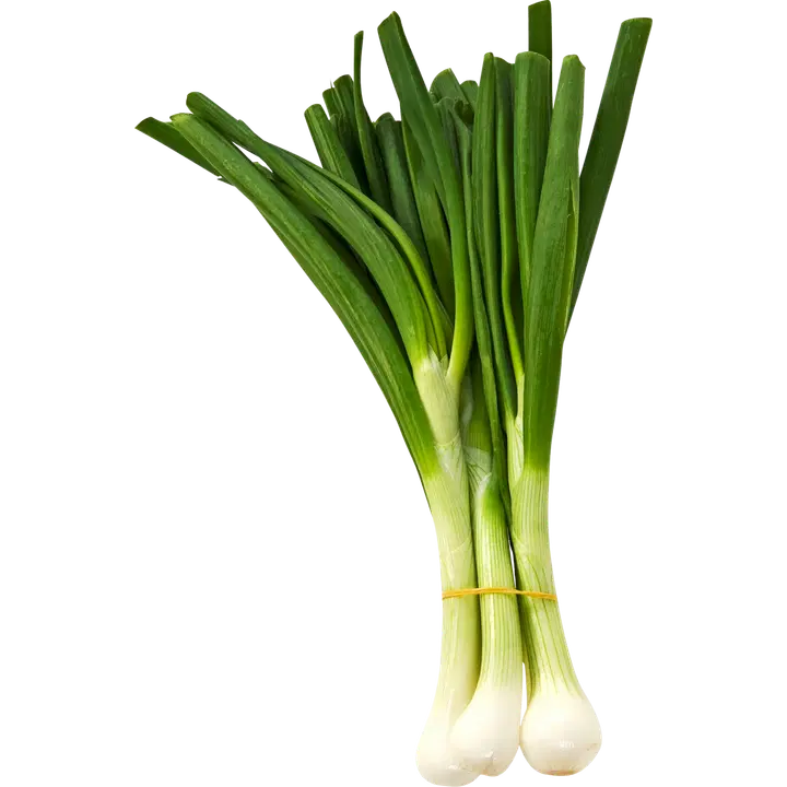 Sipulinippu