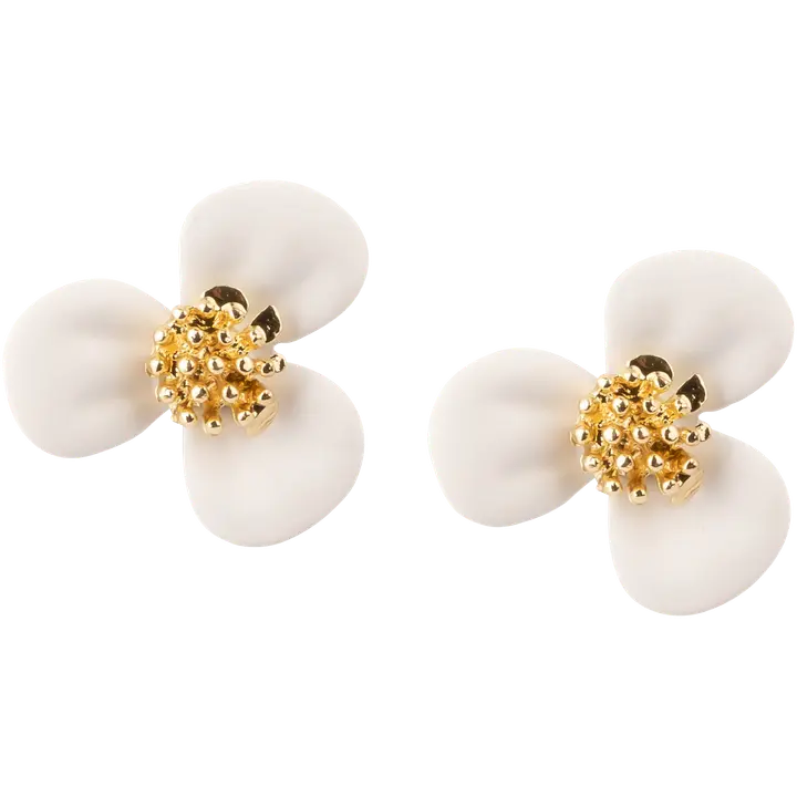 Ibero Korvakoru kukka valk pieni