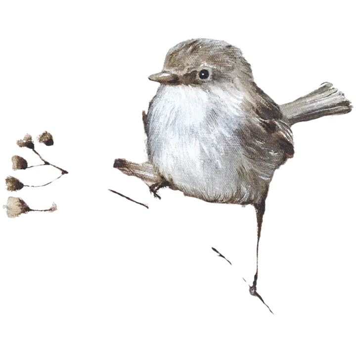 Seinäkalenteri 2026 Mainelakeus