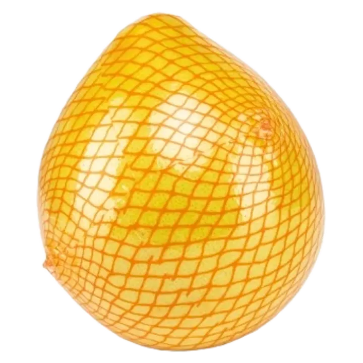 Pomelo I klass