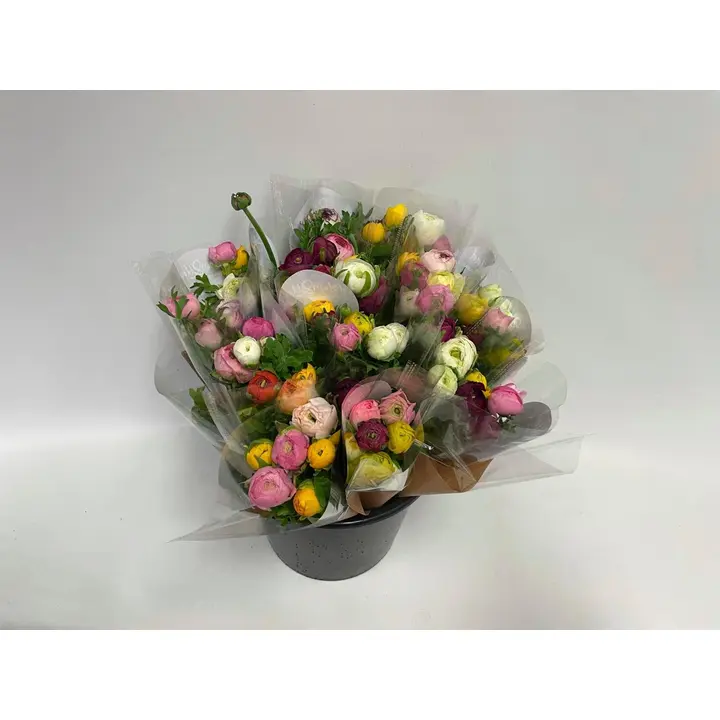 Jaloleinikki, lajitelma, monivärinen sekakimppu, 5 oksaa, 40cm