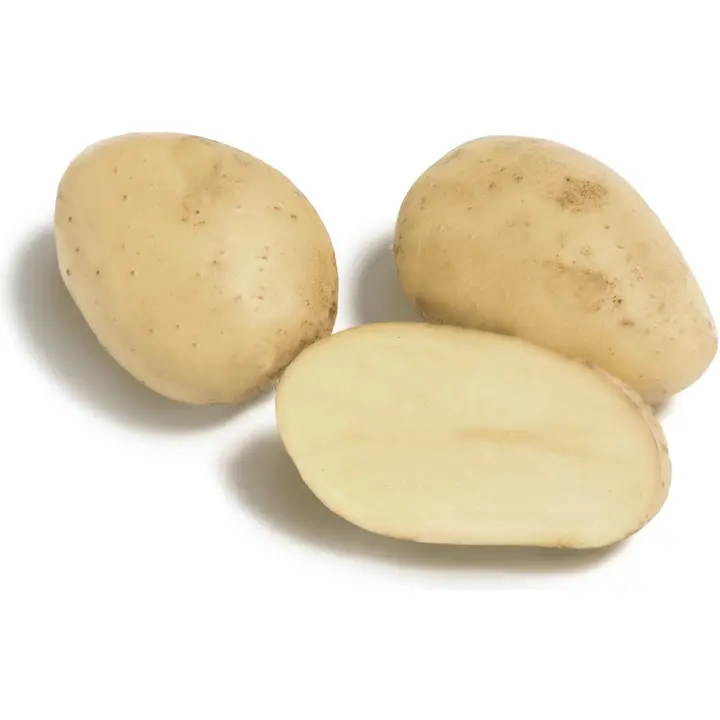 Pesty jauhoinen peruna