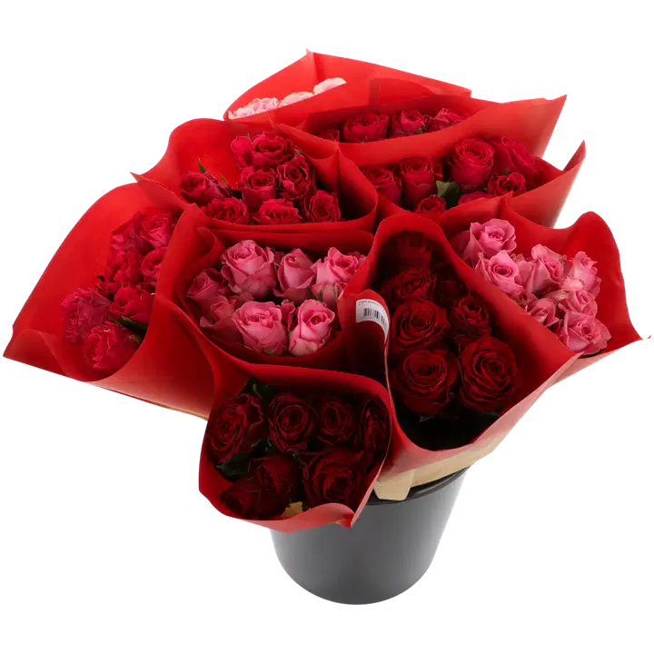 Reilun Kaupan Ruusu 7kpl, lahjakääre, värilajitelmassa punaisen sävyt, 50cm