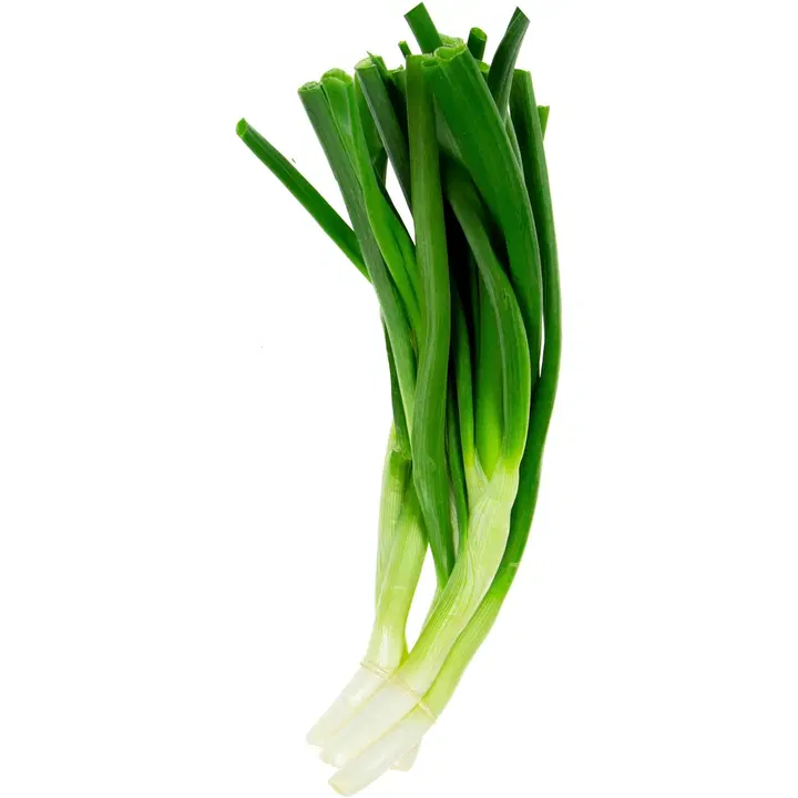 Kevätsipulinippu