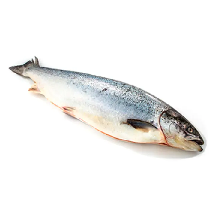 Lõhe jahutatud, roogitud, kg