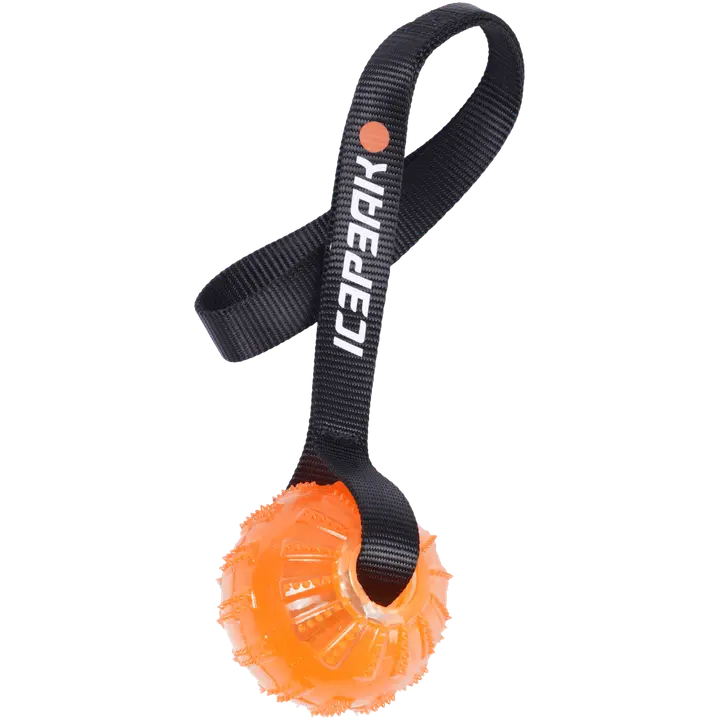 Icepeak Pet Geelipallo oranssi