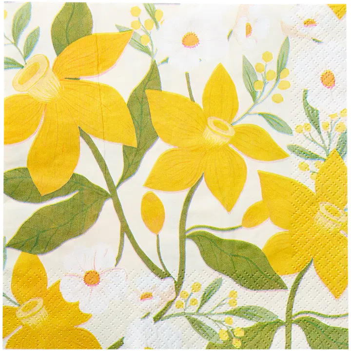 Salvrätik Havi nartsissid 33cm