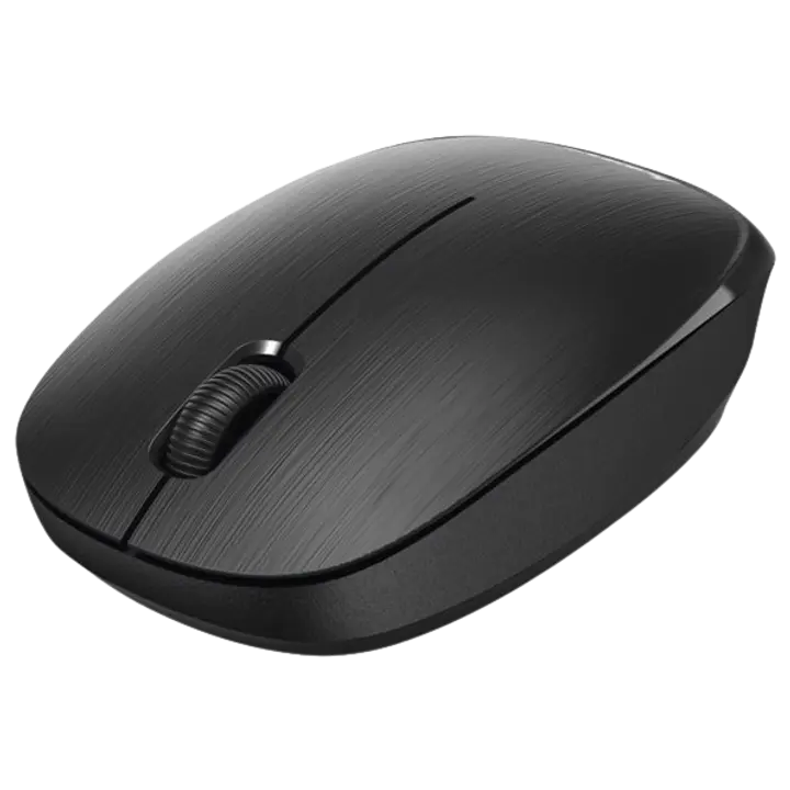 Juhtmevaba hiir MW110