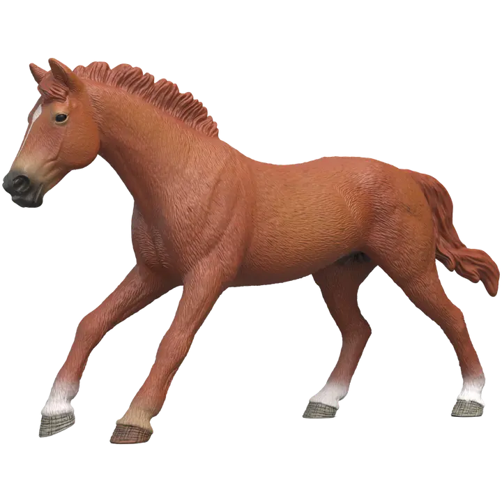 Inglise täisvereline täkk