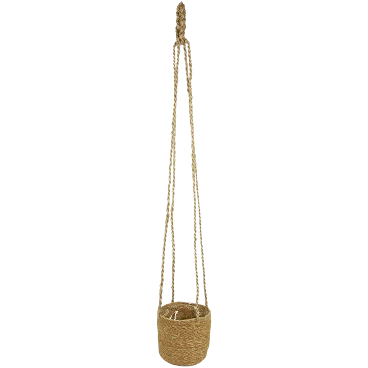 Valley hogla-amppeli suojamuovilla