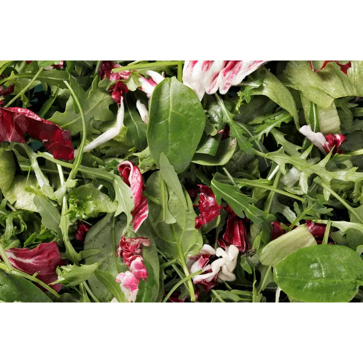 Fresh SK Gourmet mix 0,5 kg pussi