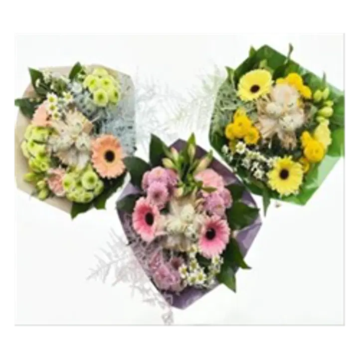 Kimp erinevad värvid