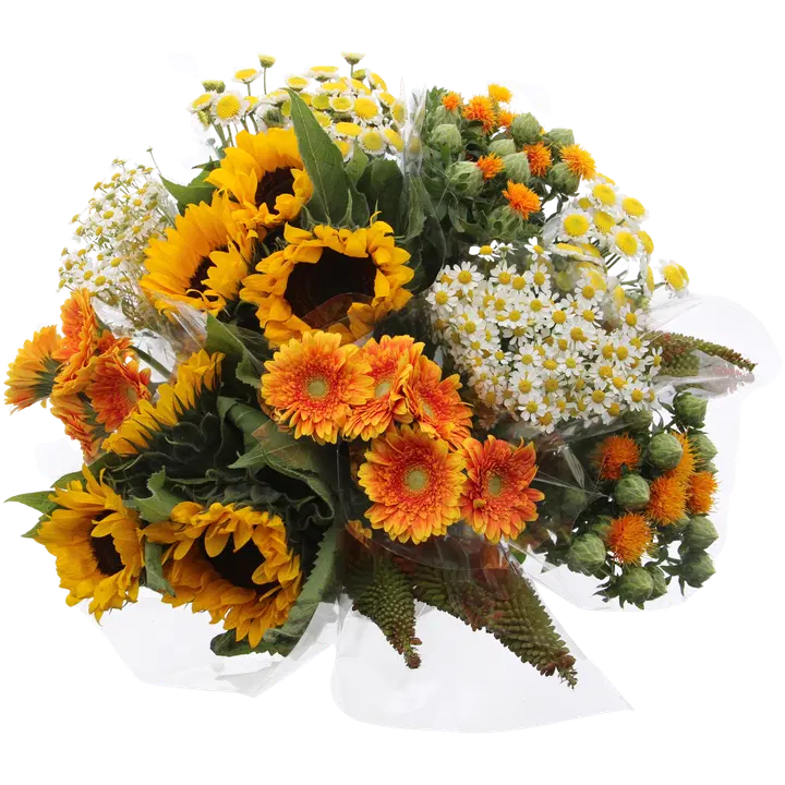 Snittblomma mix, sommar, diverse snittblommor, 3-5-pacl, höjd 50 cm
