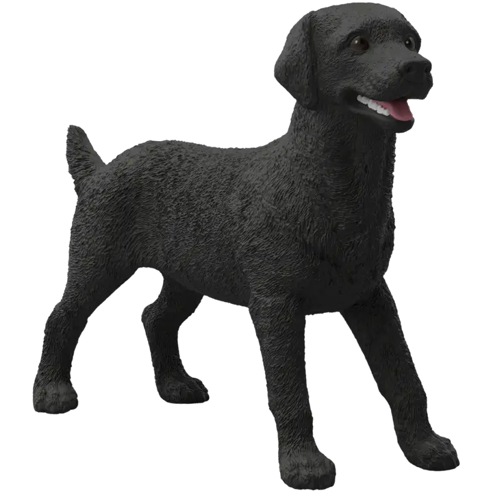 Must labradori retriiveri emane