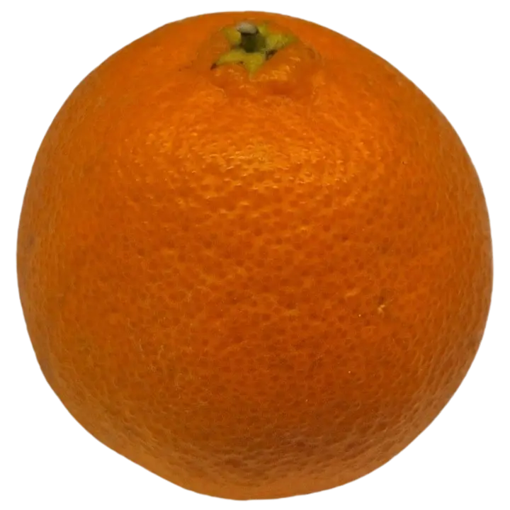 Mandariin Primosole I klass