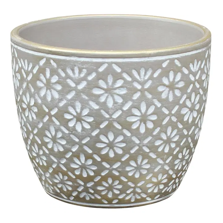 House suojaruukku Dagmar 13 cm