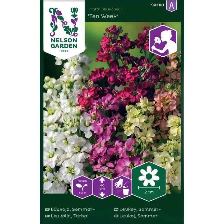 94140 matthiola incana ten week