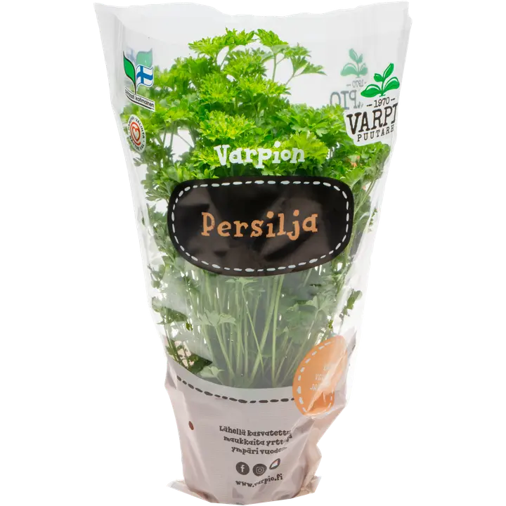 Varpio Persilja