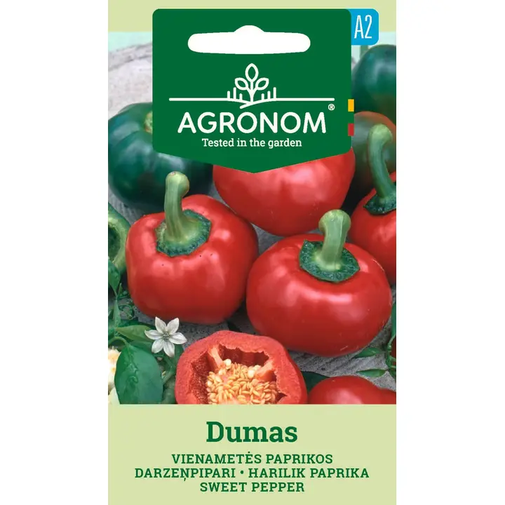 Paprika dumas-capsicum annuum l.
