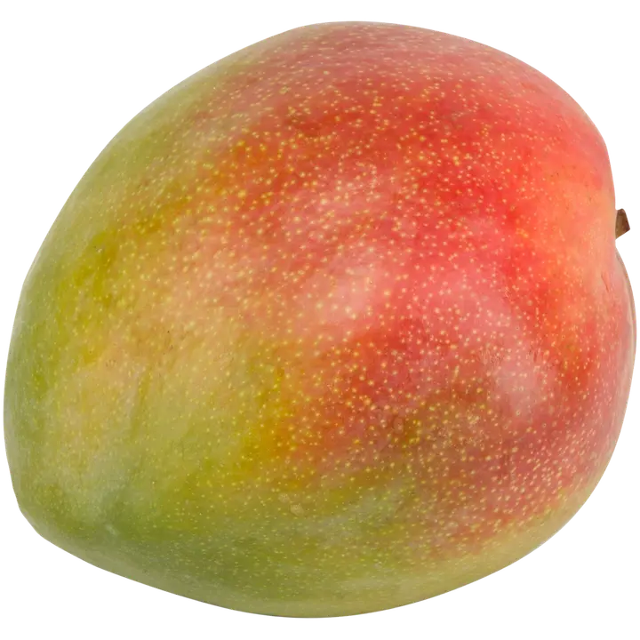 Mango kpl Osteen