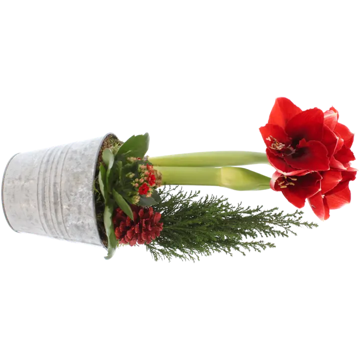 Kompositsioon Ritari