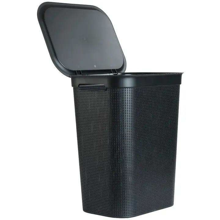 Pesukorv Rotho Brisen 50 l