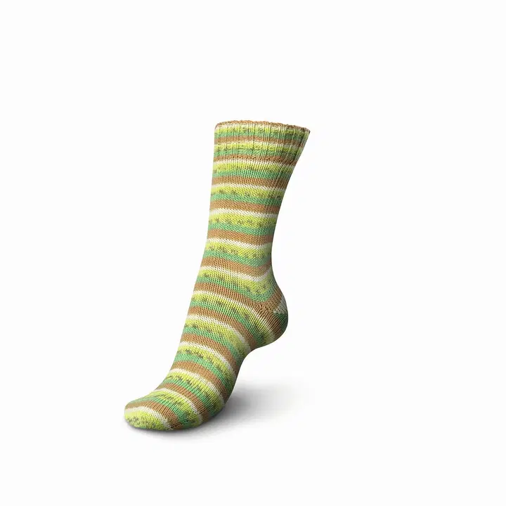 Regia cotton color tutti frutti 100g sockgarn