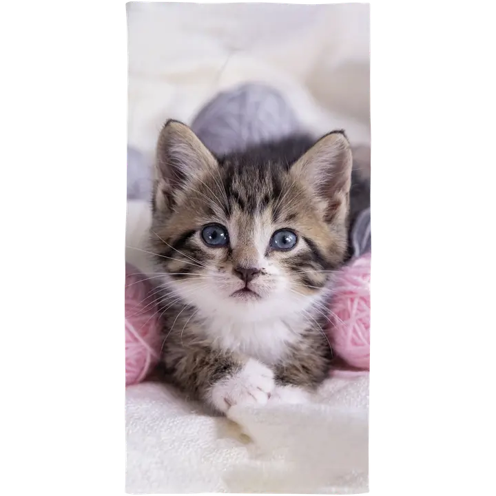 Ciraf lasten kylpypyyhe Kissanpentu 70x140 cm