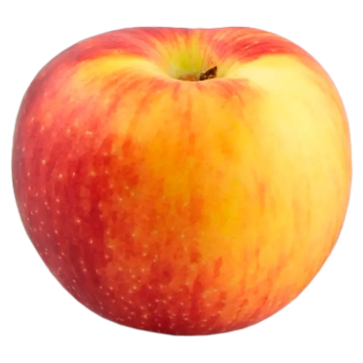 Õun Juliet I klass MAHE FR-BOI-01