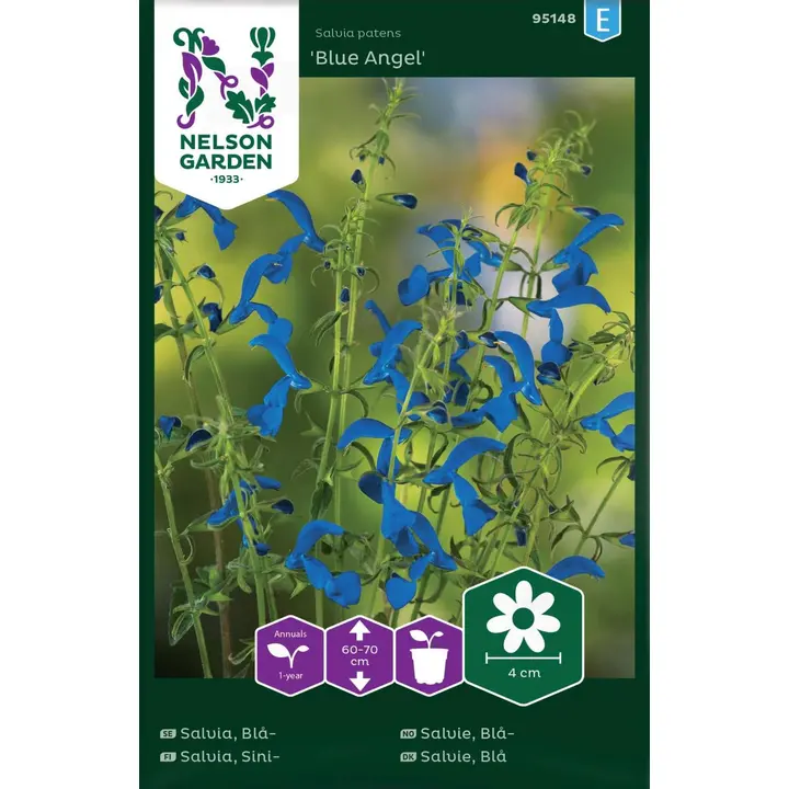95148 salvei blue angel