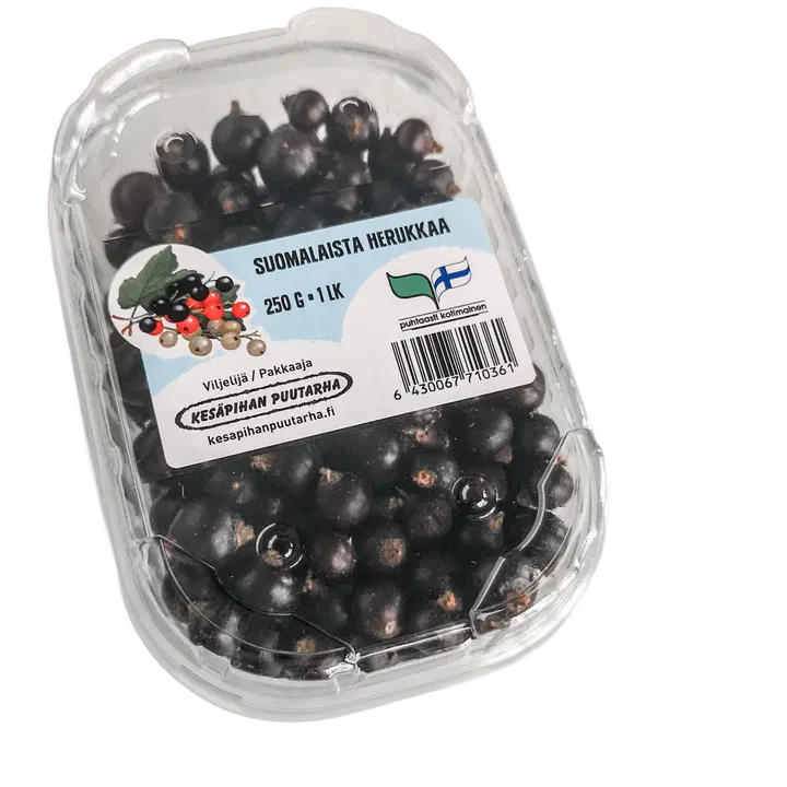 Kesäpihan Puutarha Mustaherukka 250 g kotimainen pakaste