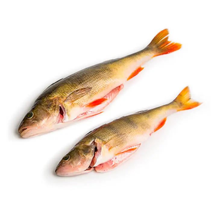 Ahven, roogitud, jahutatud, kg